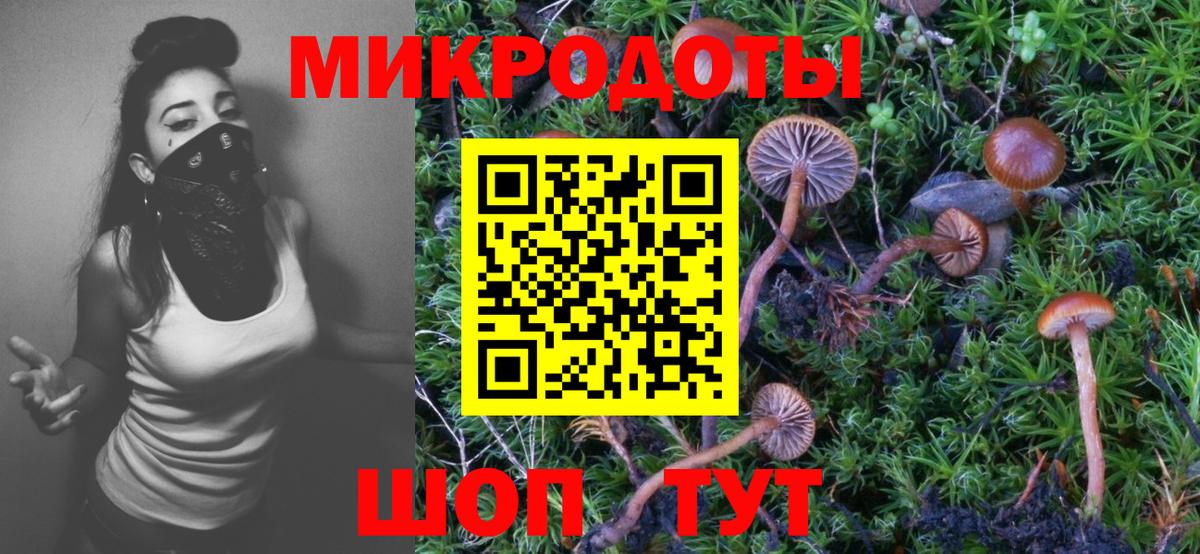 Кизилюрт  магазин  наркотиков  Вход с VPN  Псилоцибиновые грибы мухоморы 