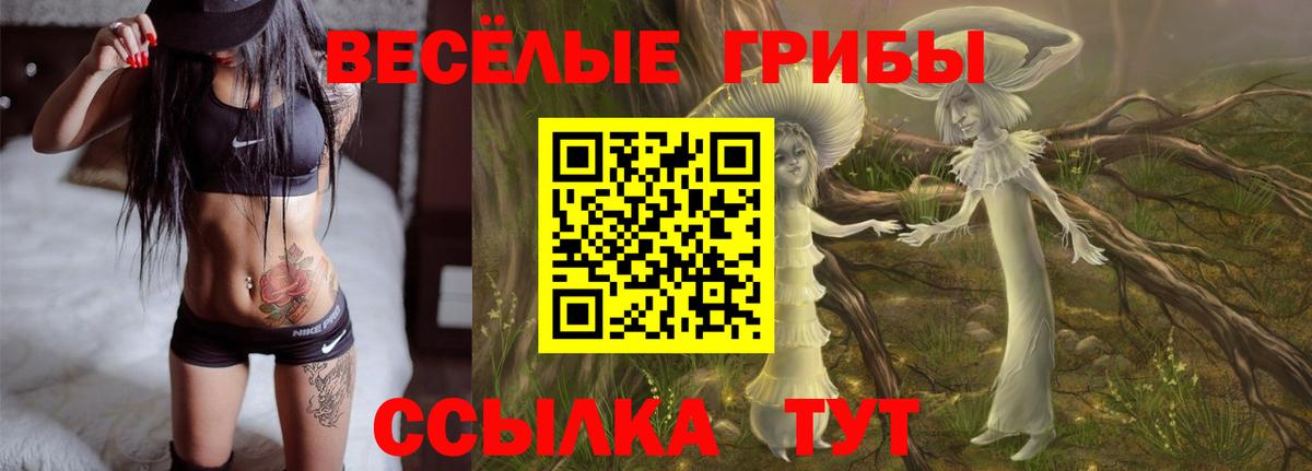 Галлюциногенные грибы мухоморы Кизилюрт